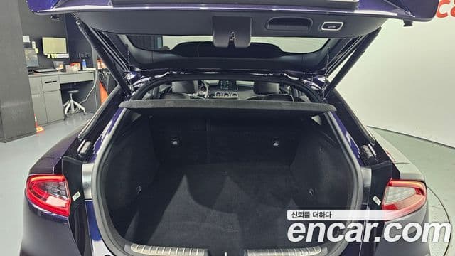 Kia 스팅어 Platinum, 2019 20