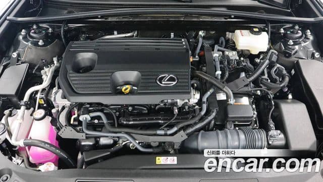 Lexus ES300h 7세대 Luxury Plus, 2025 4