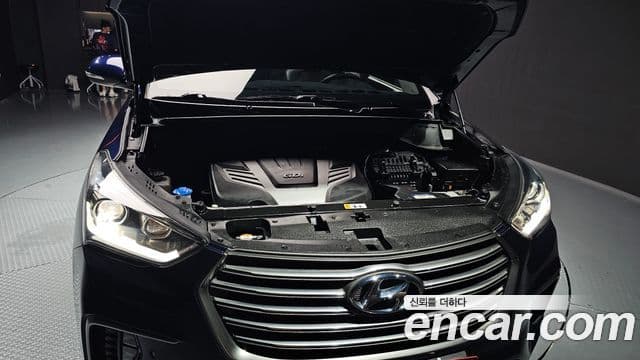 Hyundai The / новый New Maxcruz Prestige, 2017 6