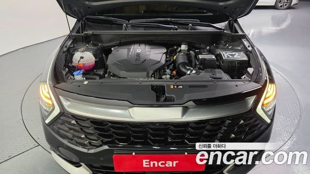 Kia Sportage 5세대 Signature, 2024 6