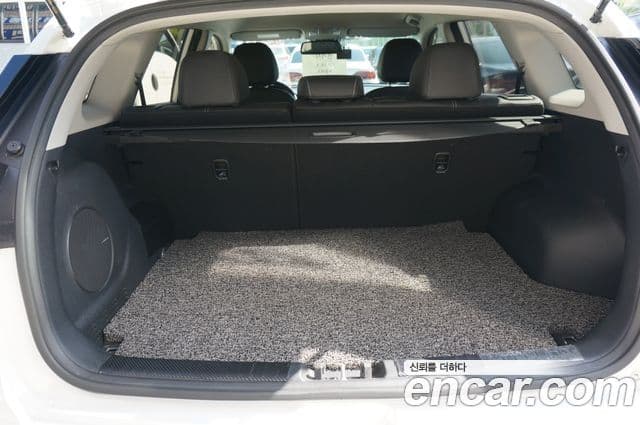 Kia Niro EV Noblesse, 2019 18