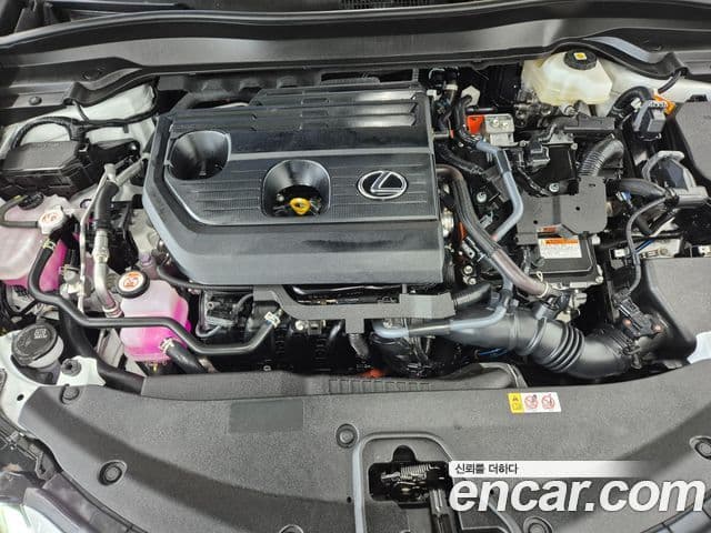 Lexus UX300h 2.0 F-Sport 2WD, 2025 6