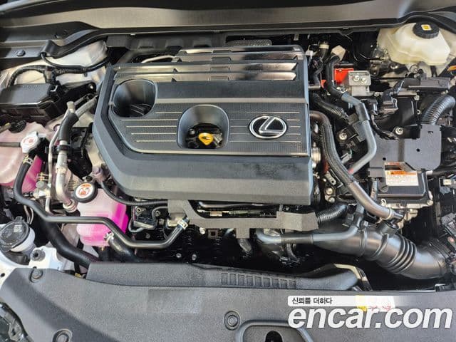 Lexus UX300h 2.0 F-Sport 2WD, 2025 6