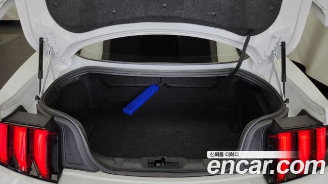 Ford Mustang купе, 2021 20