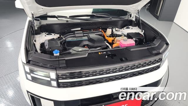 Hyundai Santa Fe (MX5) Calligraphy, 2024 6