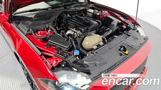 Ford Mustang кабриолет, 2021 6