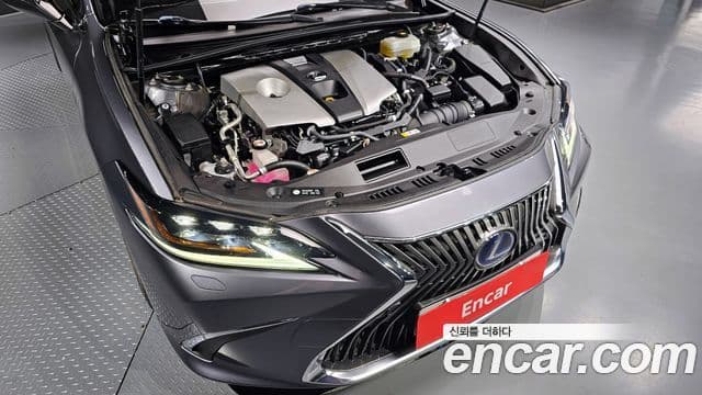 Lexus ES300h 7세대 Executive, 2019 6