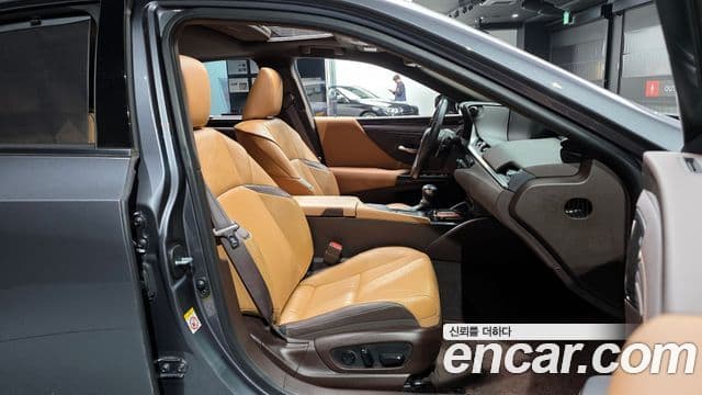Lexus ES300h 7세대 Executive, 2019 10