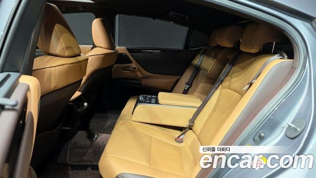 Lexus ES300h 7세대 Executive, 2019 12