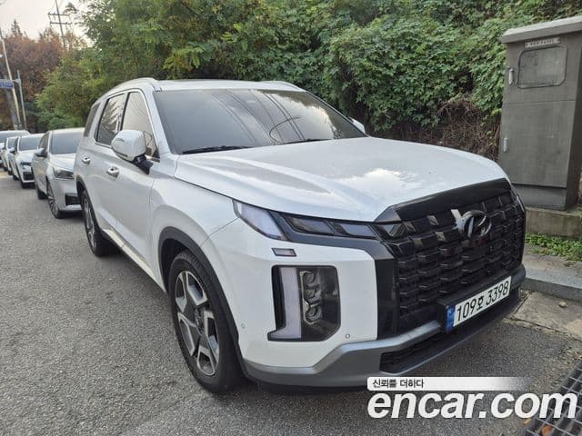 Hyundai The / новый New Palisade Le Blanc, 2024 2