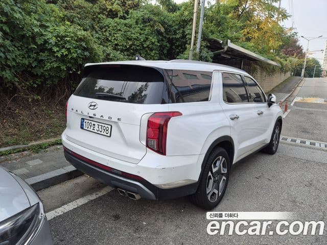 Hyundai The / новый New Palisade Le Blanc, 2024 все фото