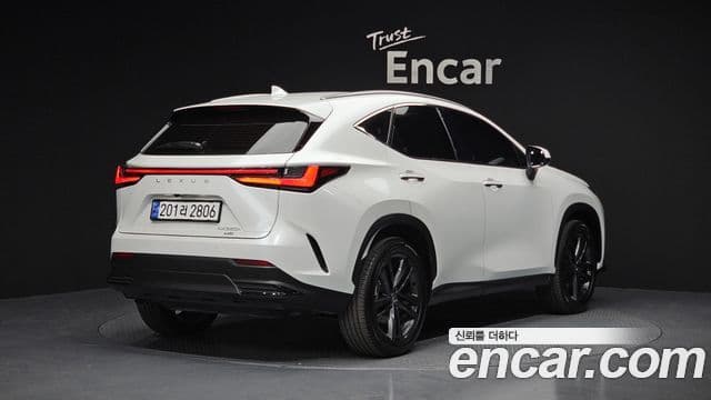Lexus NX350h 2세대 Premium, 2024 2