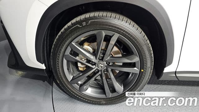 Lexus NX350h 2세대 Premium, 2024 все фото