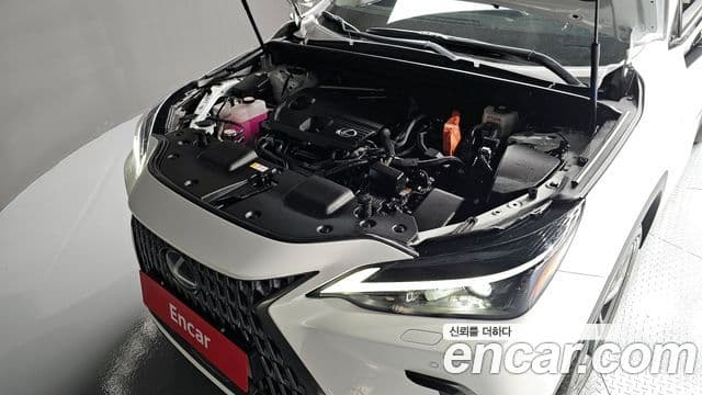 Lexus NX350h 2세대 Premium, 2024 6