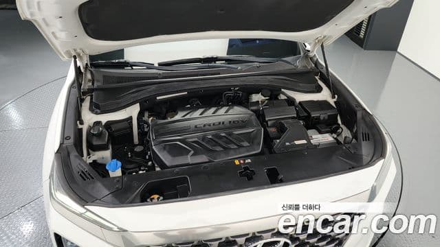 Hyundai Santa Fe TM Inspiration, 2019 6