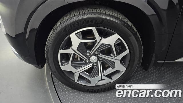 Hyundai Palisade Calligraphy, 2022 все фото