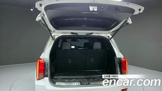 Hyundai Palisade Calligraphy, 2021 20