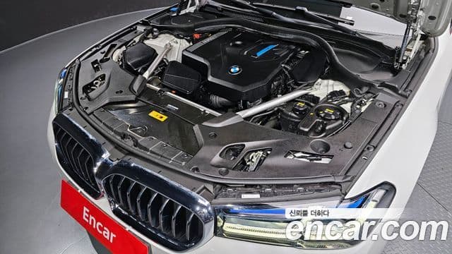 BMW 5시리즈 (G30) Luxury, 2022 6