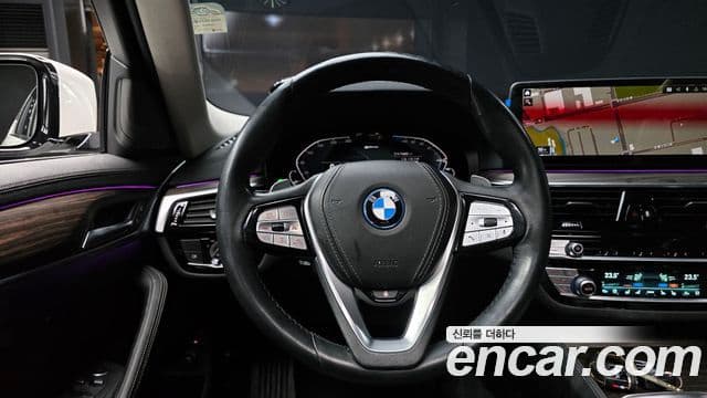 BMW 5시리즈 (G30) Luxury, 2022 13