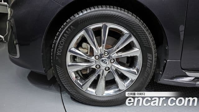 Kia The / новый New Carnival Special, 2019 все фото