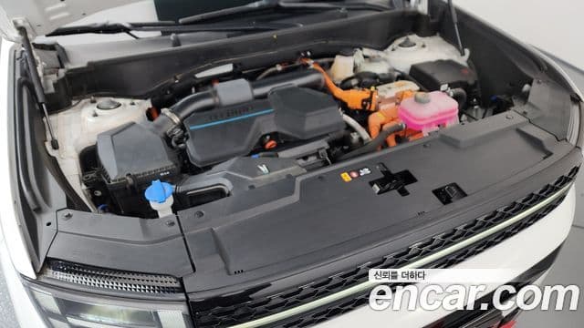 Hyundai Santa Fe (MX5) Calligraphy, 2024 6