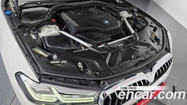 BMW 5시리즈 (G30) Luxury, 2021 6