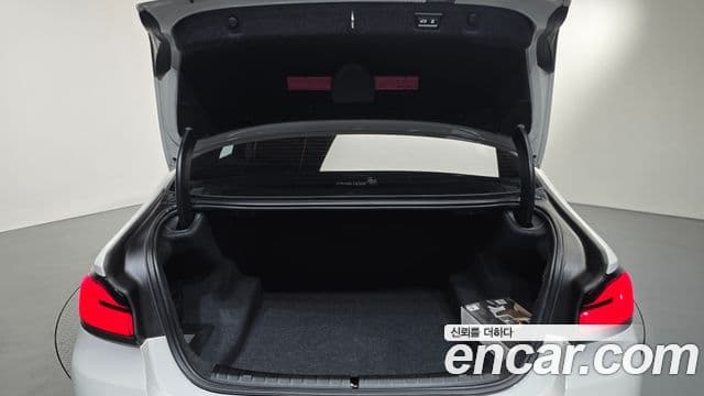 BMW 5시리즈 (G30) Luxury, 2021 20