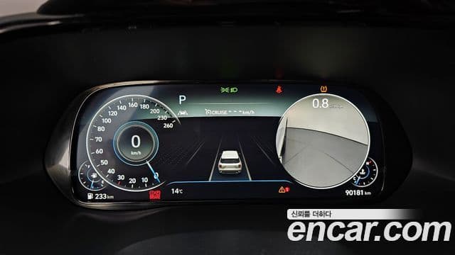 Hyundai Palisade Prestige, 2021 8