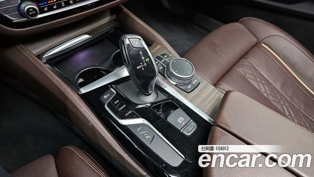 BMW 5시리즈 (G30) Luxury, 2020 9