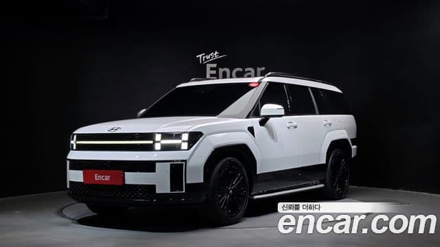 Hyundai Santa Fe (MX5) Calligraphy, 2024 1