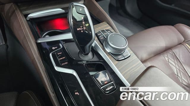 BMW 5시리즈 (G30) Luxury, 2021 9