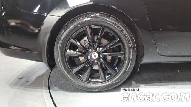 Kia The / новый New Carnival Noblesse, 2019 все фото