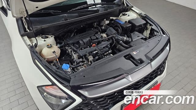 Kia Sportage 5세대 Trendy, 2022 6