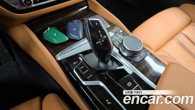 BMW 5시리즈 (G30) Luxury, 2023 9