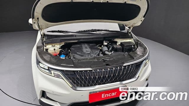 Kia Carnival 4세대 Prestige, 2021 6