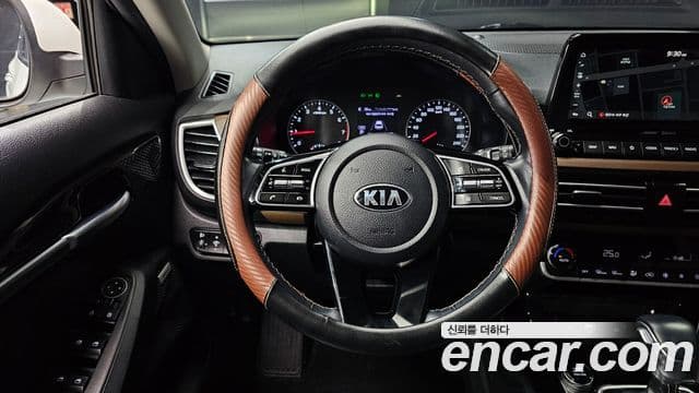 Kia Seltos Noblesse, 2020 13