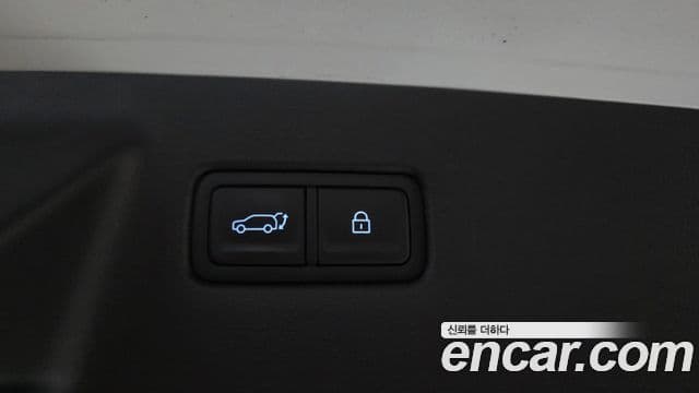 Hyundai Santa Fe (MX5) Calligraphy, 2024 20