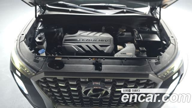 Hyundai Palisade Prestige, 2019 6