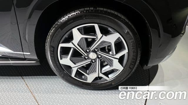 Hyundai Palisade Calligraphy, 2021 все фото