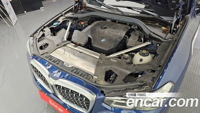 BMW X4 (G02) xDrive20i xLine, 2023 6