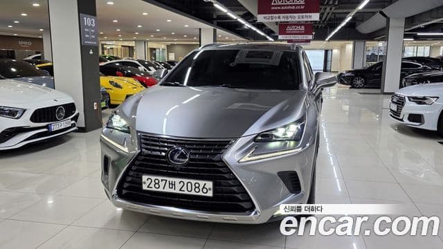 Lexus NX300h Executive, 2021 2