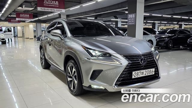 Lexus NX300h Executive, 2021 3