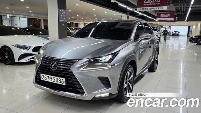 Lexus NX300h Executive, 2021 4