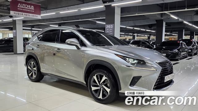 Lexus NX300h Executive, 2021 все фото