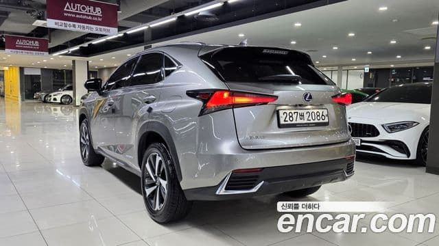 Lexus NX300h Executive, 2021 6