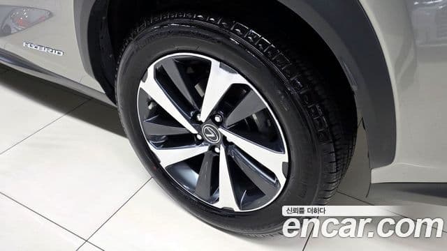 Lexus NX300h Executive, 2021 20