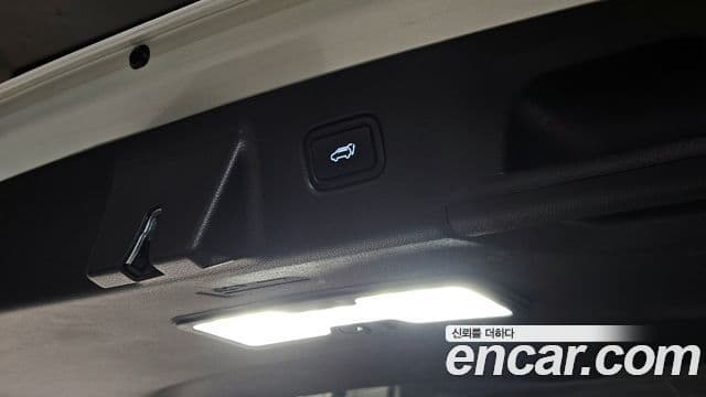 Hyundai Palisade Calligraphy, 2022 19