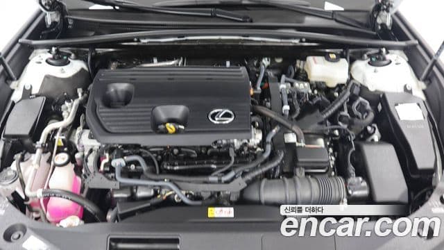 Lexus ES300h 7세대 Executive, 2026 6