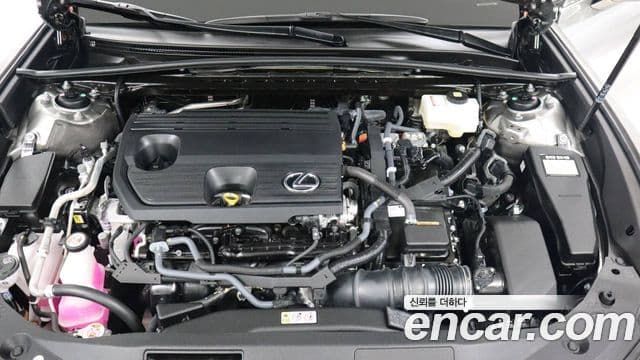 Lexus ES300h 7세대 Luxury Plus, 2026 6