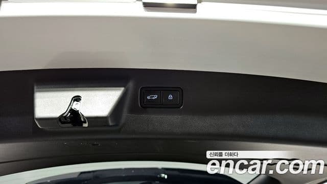 Hyundai Santa Fe (MX5) Calligraphy, 2024 20